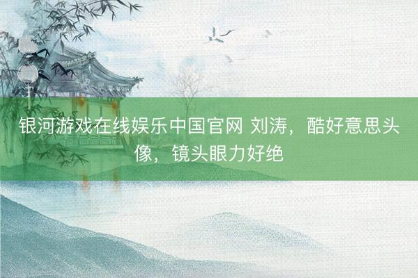 银河游戏在线娱乐中国官网 刘涛，酷好意思头像，镜头眼力好绝